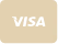 visa icon